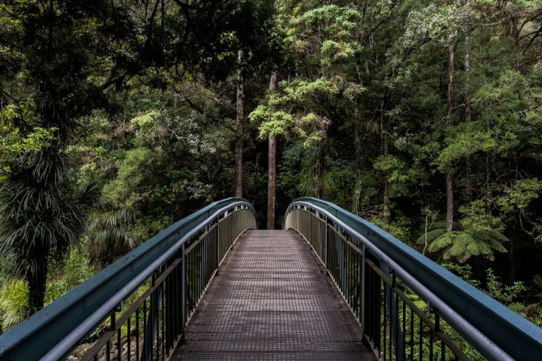 The Art of Budget-Friendly Adventure: How to Explore the Great Outdoors Without Breaking the Bank